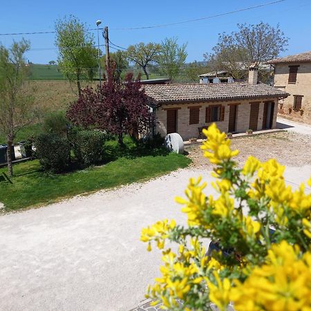 Agriturismo Il Borghetto Montefalco Luaran gambar